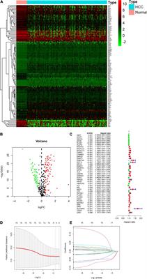 Identification and Validation of a Nine-Gene Amino Acid Metabolism-Related Risk Signature in HCC